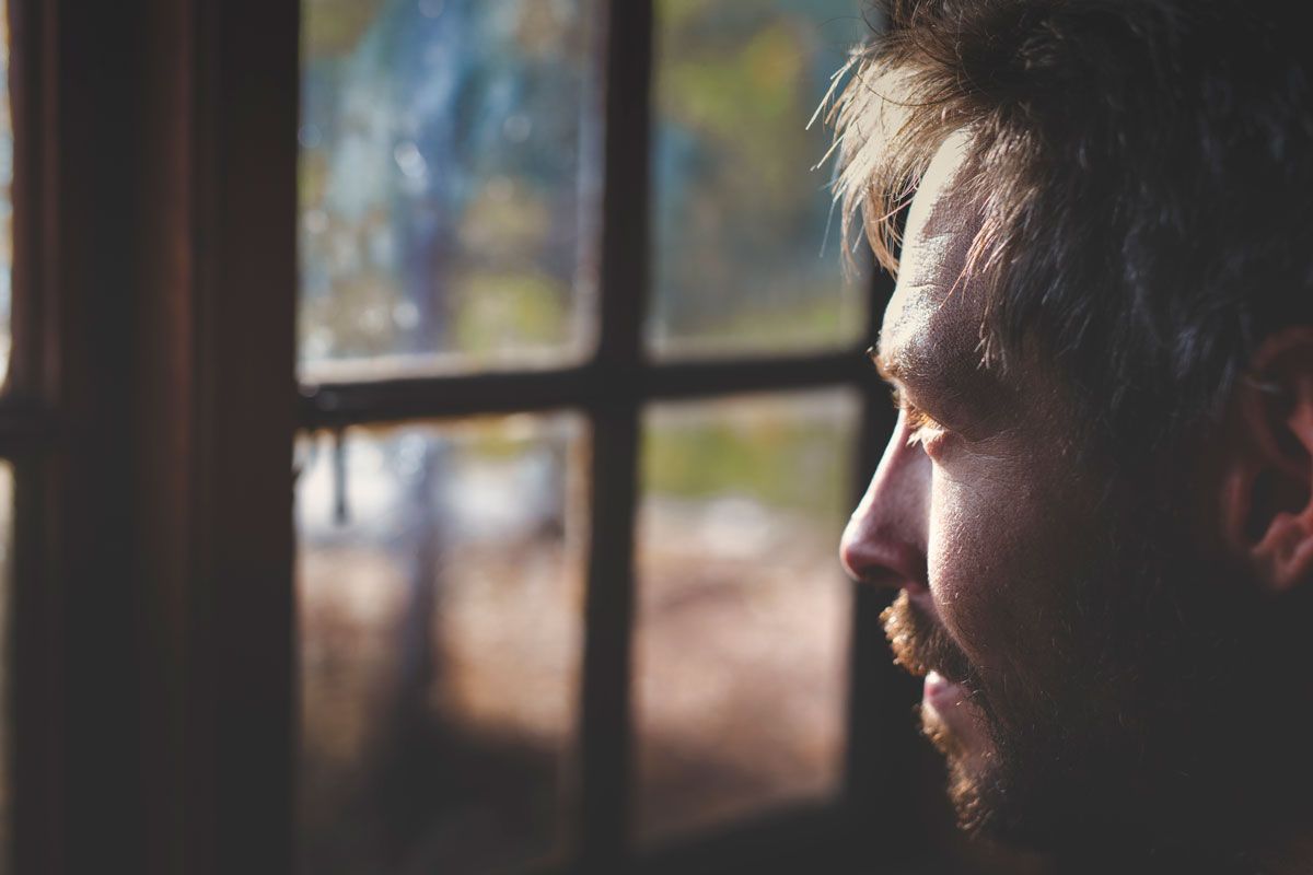 SKuleskogen Nationalpark Portrait